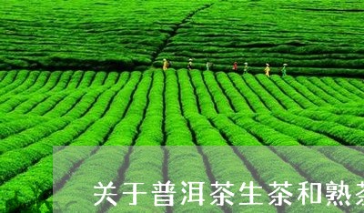 关于普洱茶生茶和熟茶的区别图片/2023060285259