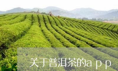 关于普洱茶的app/2023091492725