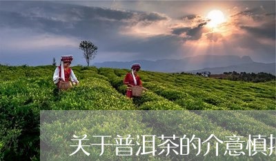 关于普洱茶的介意慎拍/2023061706069