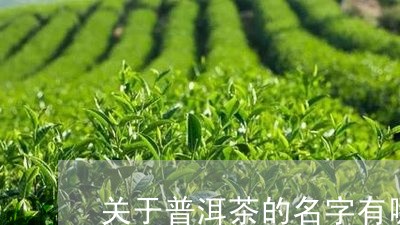 关于普洱茶的名字有哪些/2023112827152