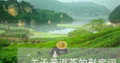 关于普洱茶的形容词/2023071011794