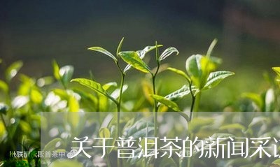 关于普洱茶的新闻采访/2023080376351