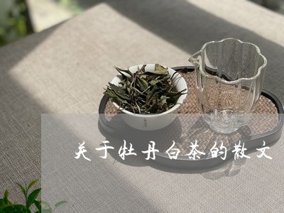 关于牡丹白茶的散文/2023121759493
