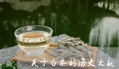 关于白茶的历史文献/2023121763858