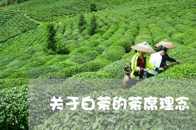 关于白茶的茶席理念/2023121764939