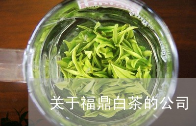 关于福鼎白茶的公司/2023121748603