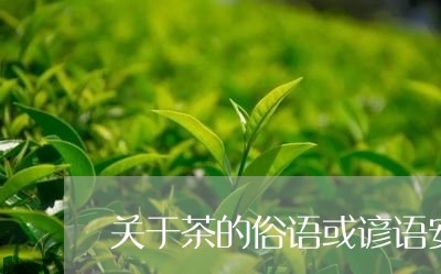 关于茶的俗语或谚语安徽五种名茶/2023060251603