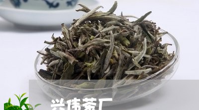 兴伟茶厂/2023110910484