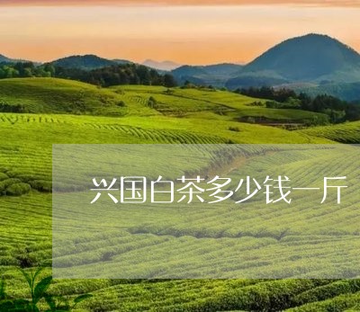 兴国白茶多少钱一斤/2023121780603