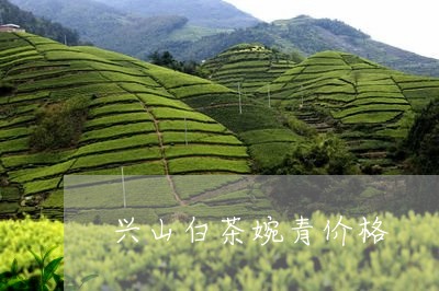 兴山白茶婉青价格/2023061517484