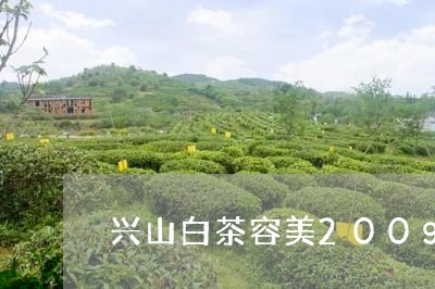 兴山白茶容美200g/2023092777360