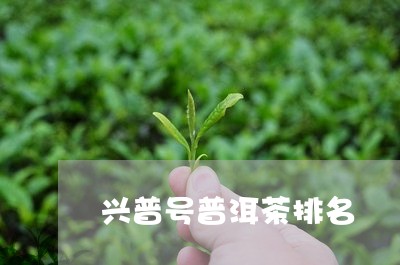 兴普号普洱茶排名/2023082895159