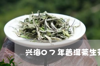 兴海07年普洱茶生茶/2023082898170