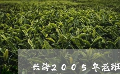 兴海2005年老班章/2023092496149