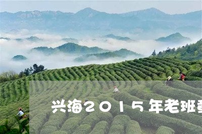 兴海2015年老班章/2023061235835