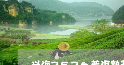 兴海7576普洱熟茶/2023092457370