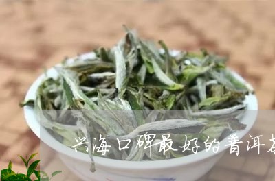 兴海口碑最好的普洱茶是/2023050405969