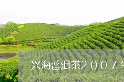 兴海普洱茶2007生茶/2023112700502