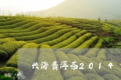 兴海普洱茶2014/2023091472735