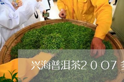 兴海普洱茶20O7多少钱/2023110436270