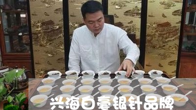 兴海白毫银针品牌/2023061530703