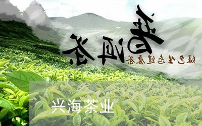 兴海茶业/2023121903025