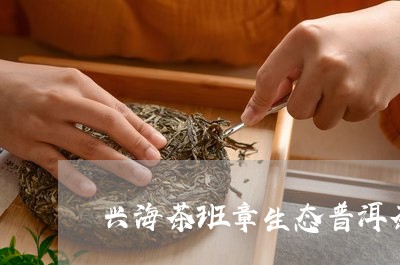 兴海茶班章生态普洱茶/2023080325838