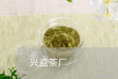 兴益茶厂/2023090187249