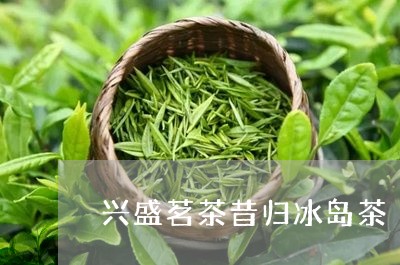 兴盛茗茶昔归冰岛茶/2023042630603