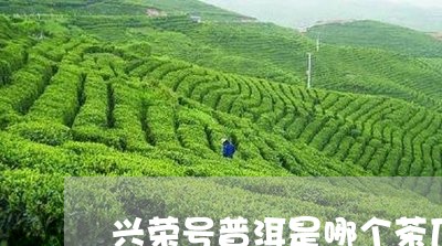 兴荣号普洱是哪个茶厂/2023061370492