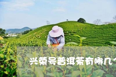 兴荣号普洱茶有哪几个牌子/2023051042726