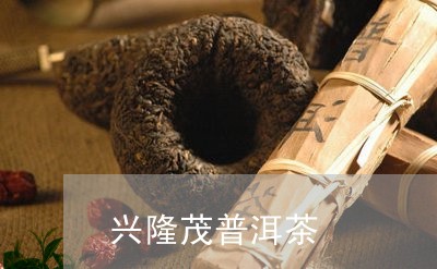 兴隆茂普洱茶/2023042844973