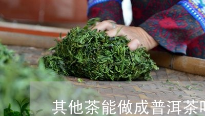 其他茶能做成普洱茶吗/2023100778481