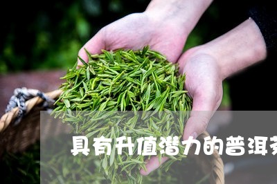 具有升值潜力的普洱茶/2023073148482