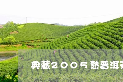 典藏2005熟普洱茶/2023062827360