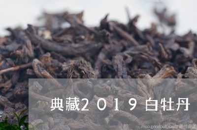 典藏2019白牡丹/2023120548480