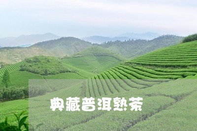 典藏普洱熟茶/2023090768160