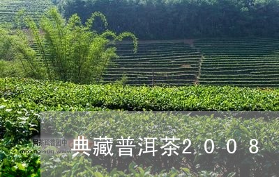 典藏普洱茶2008/2023091422848