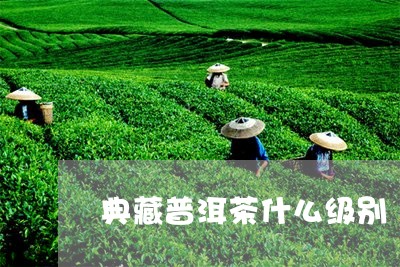 典藏普洱茶什么级别/2023120579280