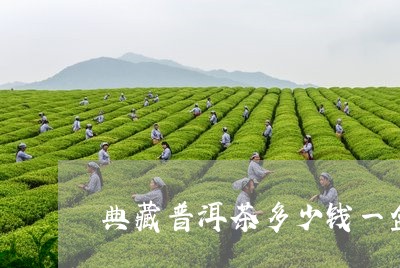 典藏普洱茶多少钱一盒/2023072226503