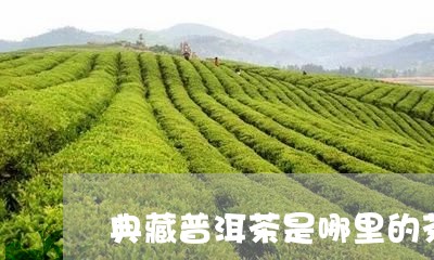 典藏普洱茶是哪里的茶品牌/2023112549404