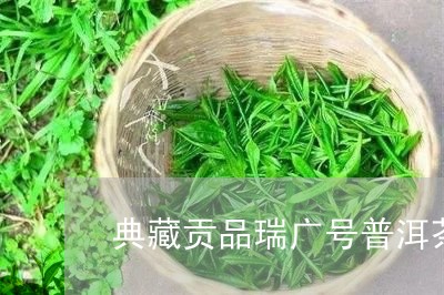 典藏贡品瑞广号普洱茶/2023072433824