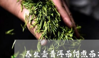 养生壶普洱茶饼煮茶方法/2023110186059