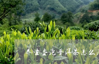 养生壶泡普洱茶怎么洗茶/2023112548352