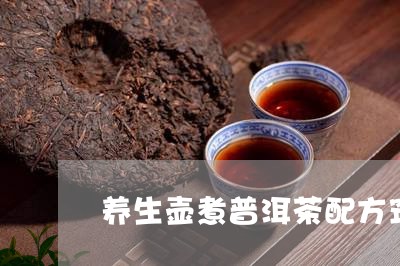 养生壶煮普洱茶配方窍门/2023110108150