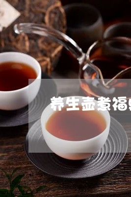 养生壶煮福鼎白茶的好处/2023092196361