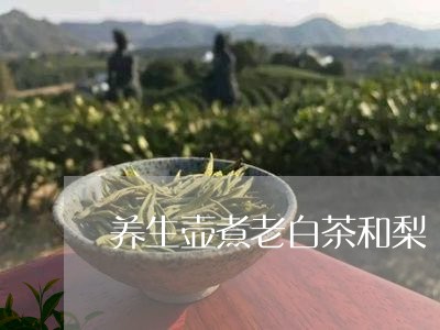 养生壶煮老白茶和梨/2023081279705