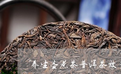 养生壶煮茶普洱茶放多少水/2023112468059