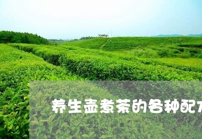 养生壶煮茶的各种配方夏天/2023051176201
