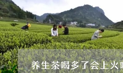 养生茶喝多了会上火吗/2023071639617